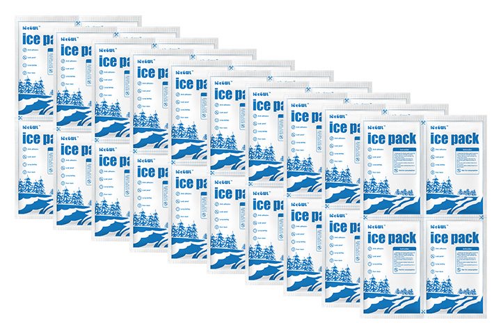 Dry ice pack for food2
